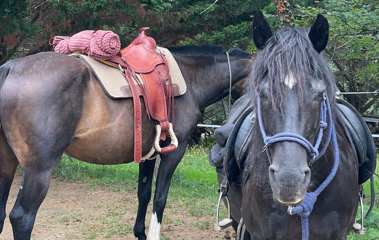 Horse riding in the French Pyrenees Hooves Around the World
